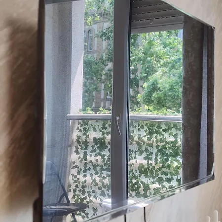 Frajla 2 نوفي ساد